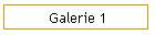 Galerie 1